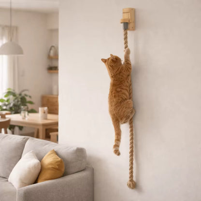 Juego de pared que gasta la energía de tu gato